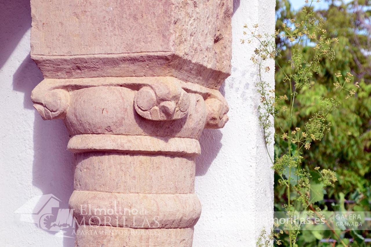 Apartamentos Rurales El Molino De Morillas Galera Dış mekan fotoğraf