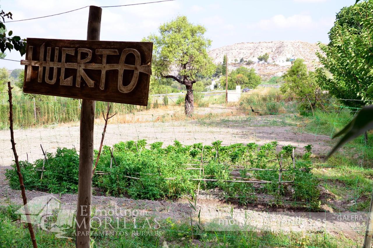 Apartamentos Rurales El Molino De Morillas Galera Dış mekan fotoğraf